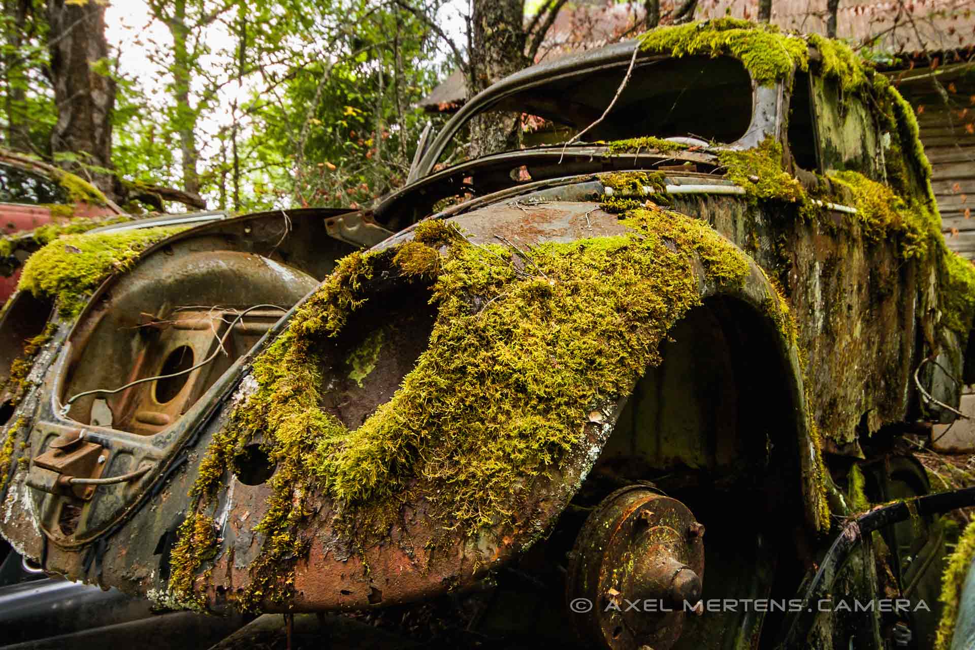 lost place – Autofriedhof