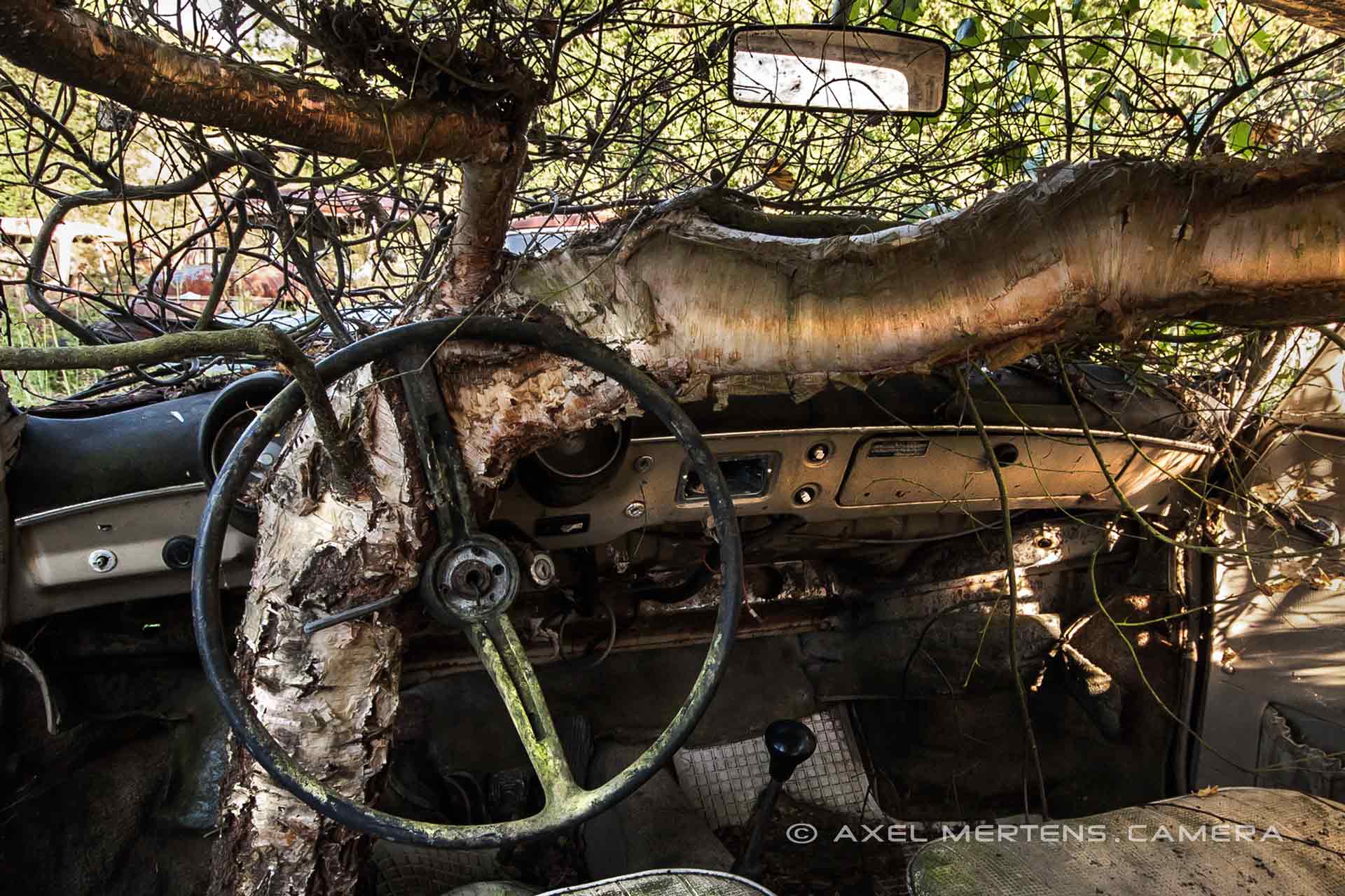 lost place – Autofriedhof