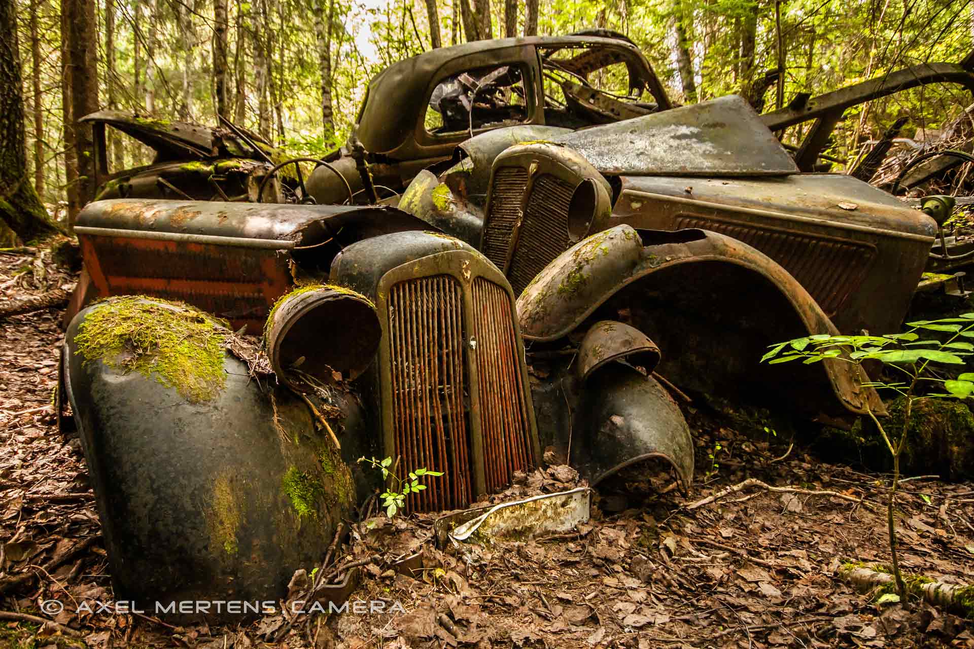 lost place – Autofriedhof