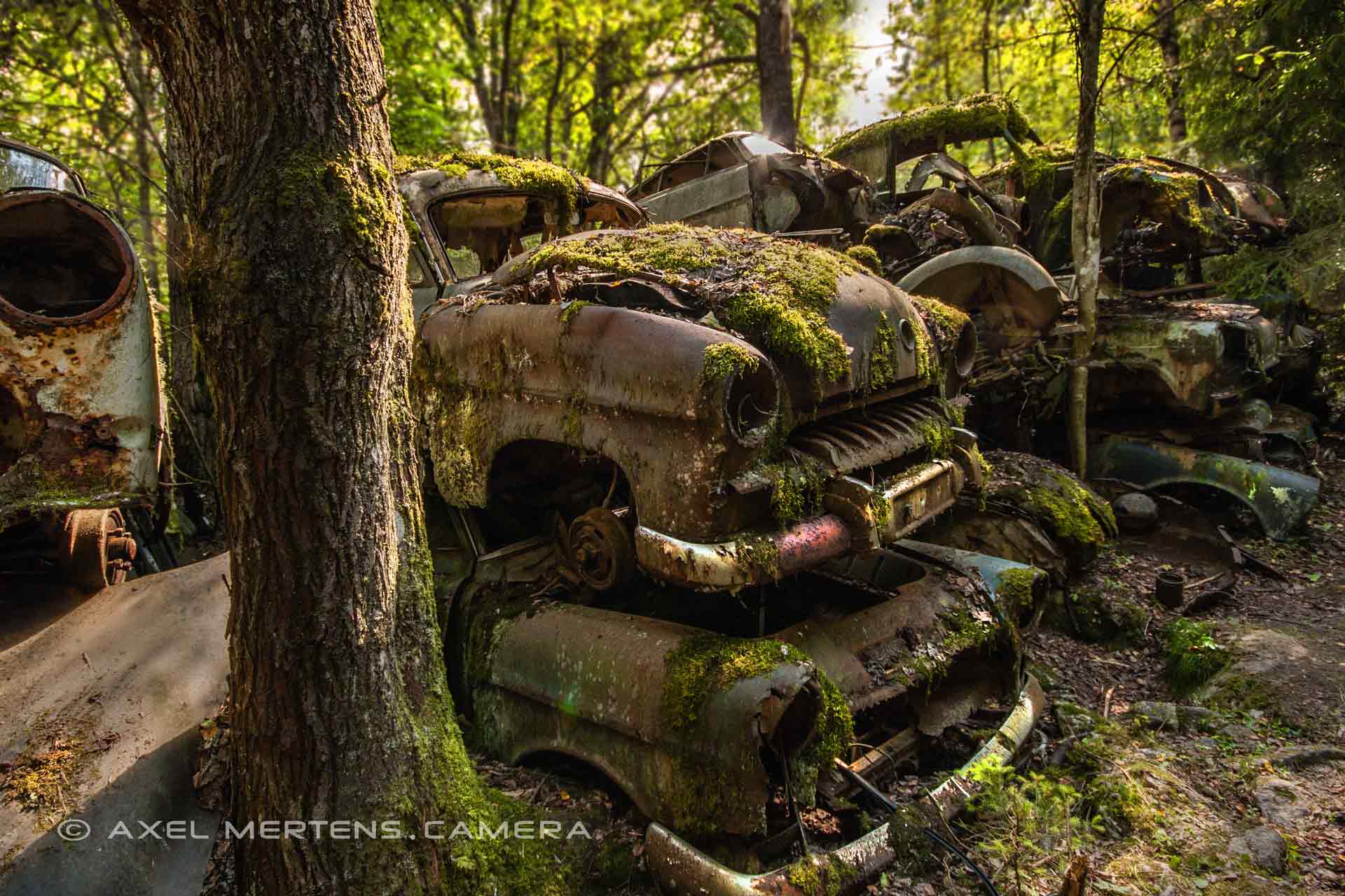 lost place – Autofriedhof