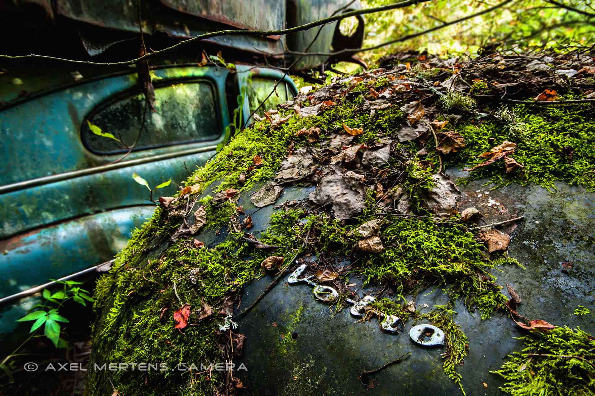 lost place – Autofriedhof