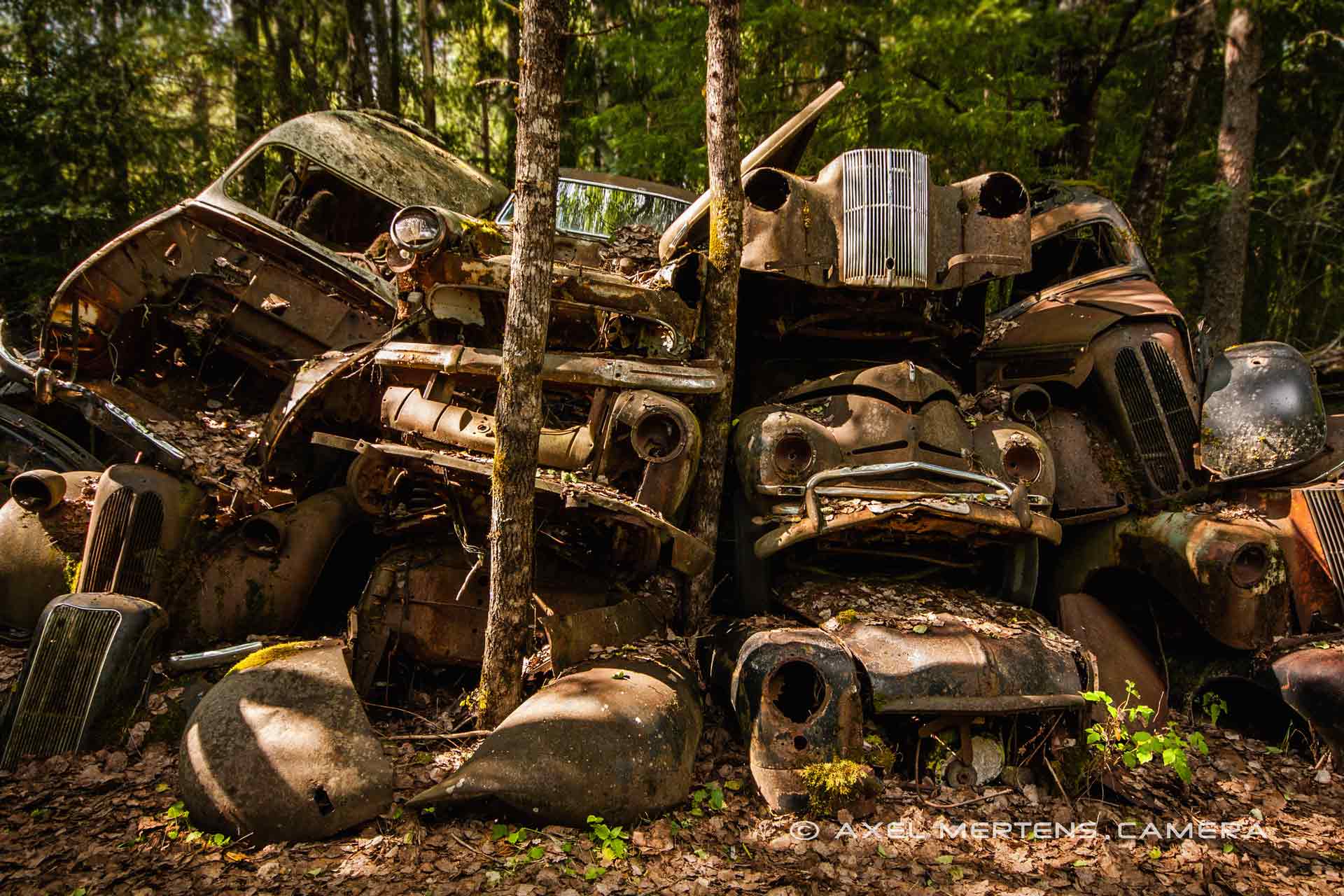 lost place – Autofriedhof