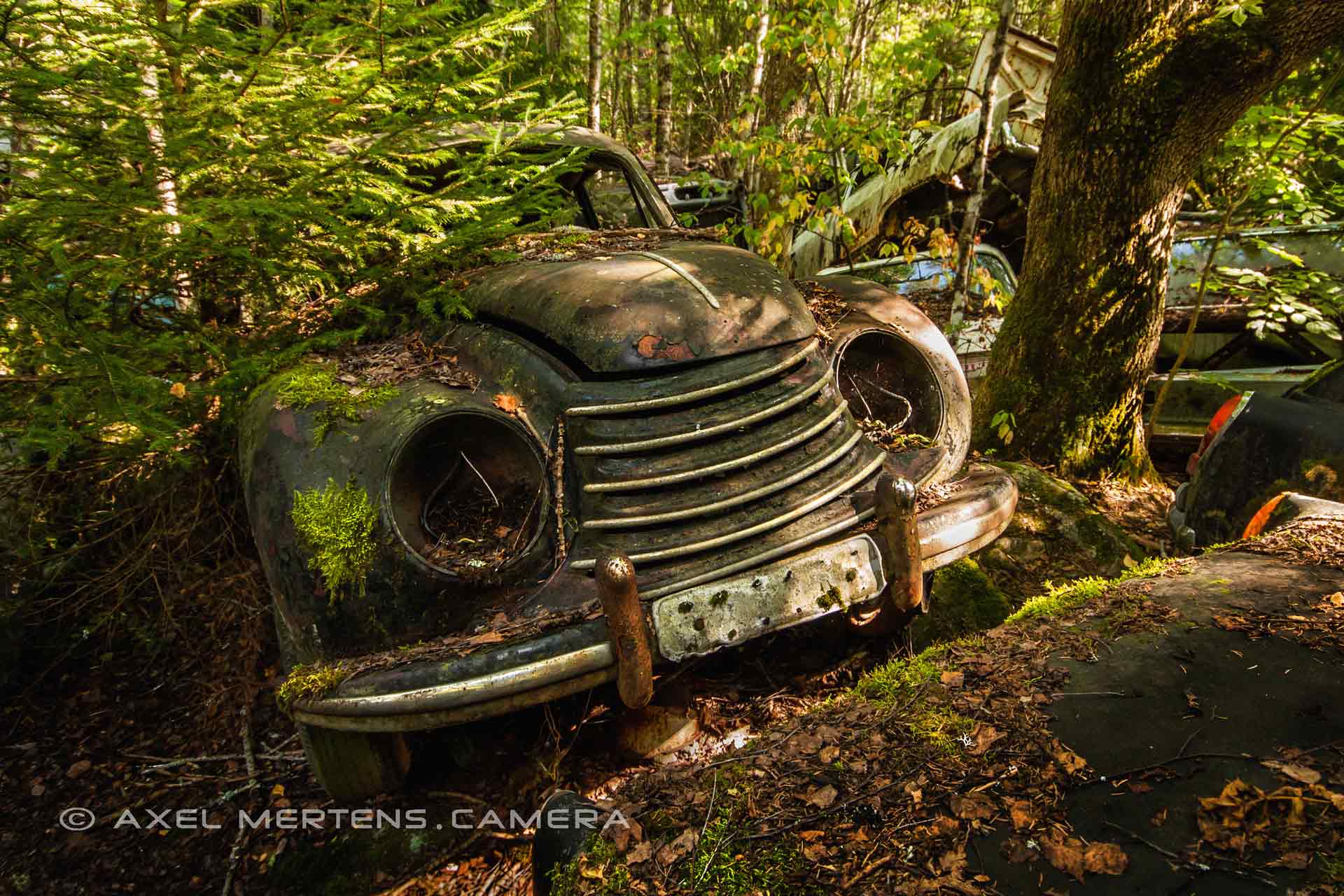 lost place – Autofriedhof