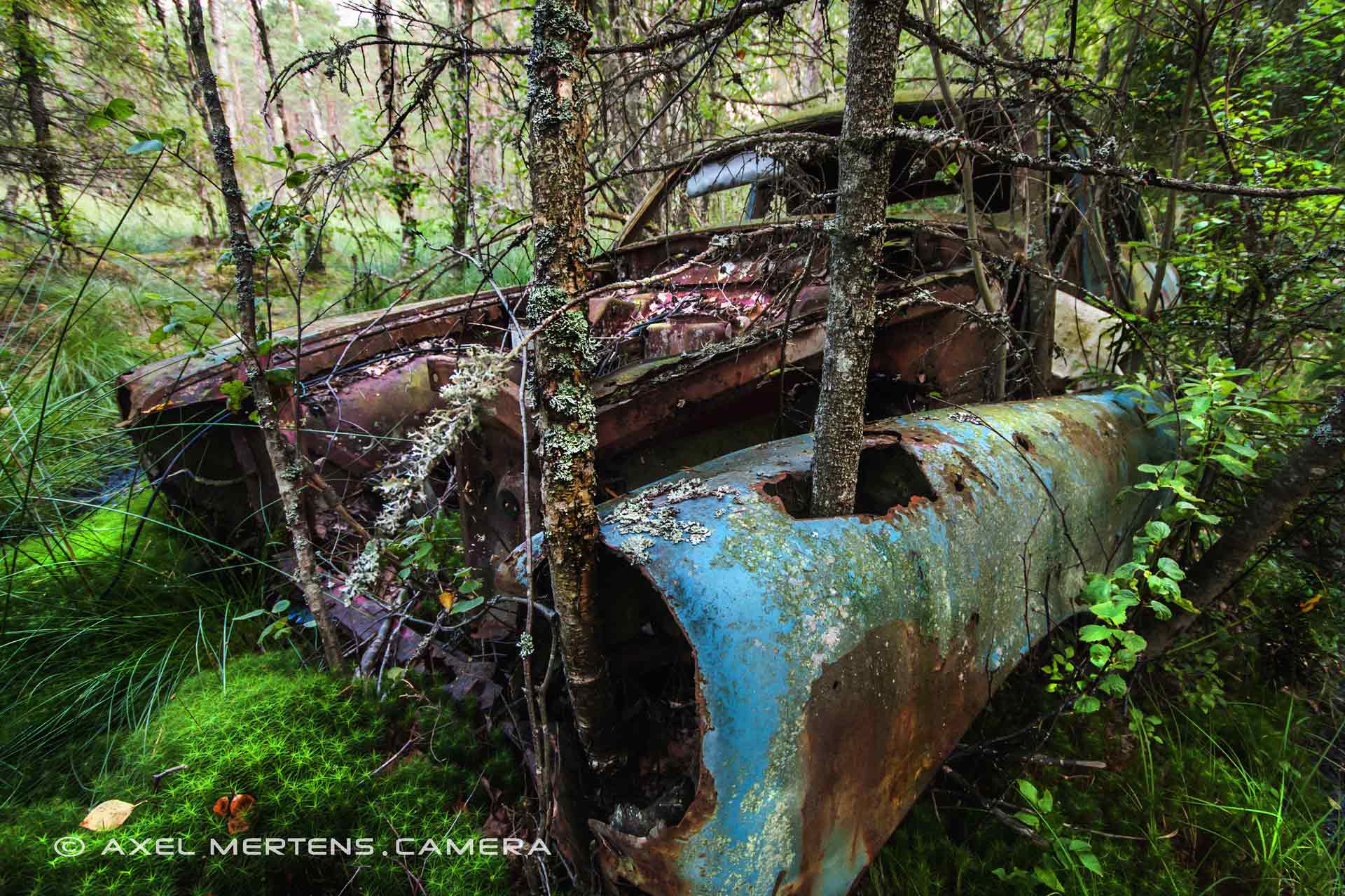 lost place – Autofriedhof